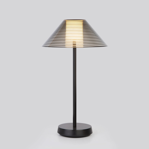 Настольный светильник Mistery TL70210 Настольный светильник Mistery TL70210