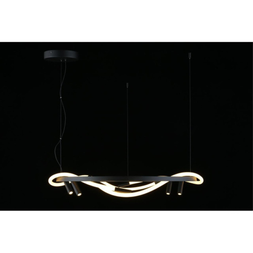 Люстра подвесная APL.773.03.84 фото 11