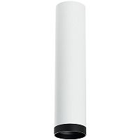 R4963437 Светильник RULLO HP16 (214496+203437)
