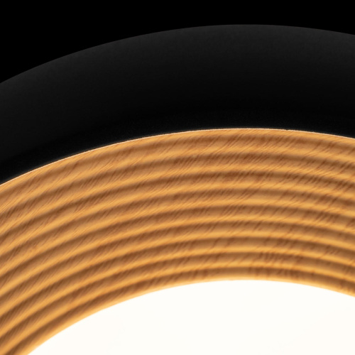 10255/350 Black Потолочный светильник LOFT IT Folk фото 6