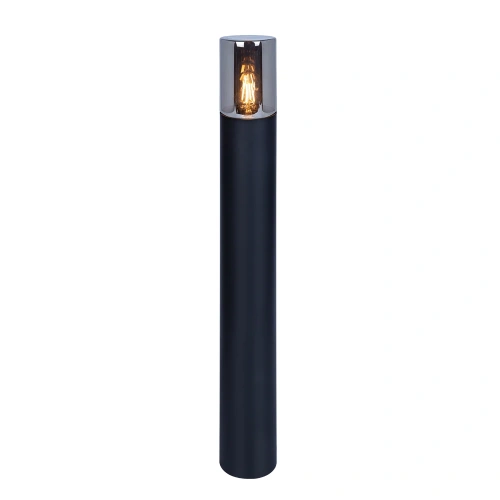 Ландшафтный светильник Arte Lamp WAZN A6218PA-1BK фото 2