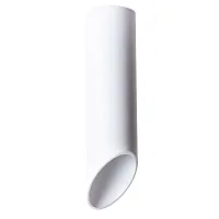 Точечный накладной светильник Arte Lamp PILON A1622PL-1WH