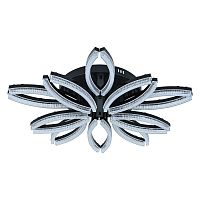 Потолочный светильник 100013/10C LED*196W Black