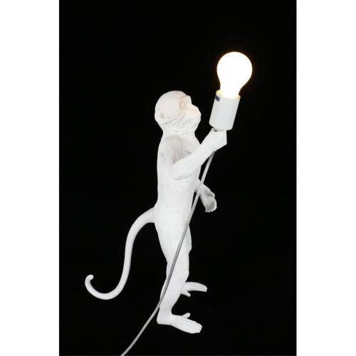 Настольная лампа APL.309.04.01 фото 15 Настольная лампа APL.309.04.01 фото 15