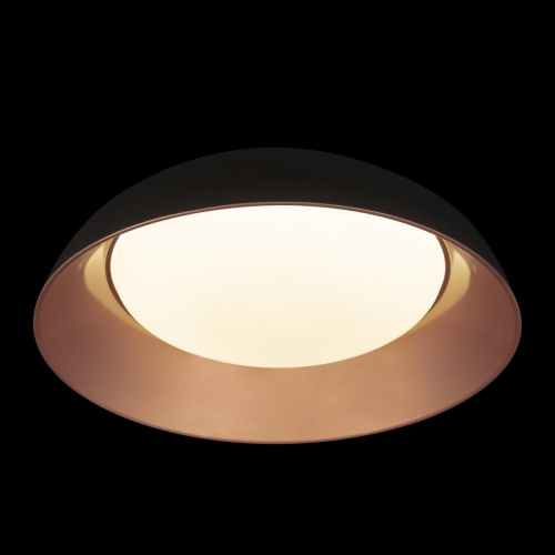 10229 Black Потолочный светильник LOFT IT Cappello фото 4