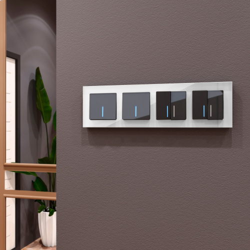 Рамка из стекла на 4 поста Favorit белый матовый W0041105 фото 3 Рамка из стекла на 4 поста Favorit белый матовый W0041105 фото 3