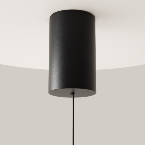 Подвесной светильник Technical P101PL-L300-12W3K-B фото 8 Подвесной светильник Technical P101PL-L300-12W3K-B фото 8