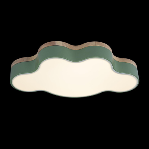 10005/30 Green Потолочный светильник LOFT IT Axel фото 5