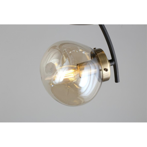 Люстра потолочная OML-95307-08 фото 8 Люстра потолочная OML-95307-08 фото 8