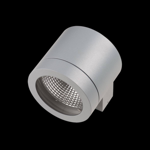Уличный настенный светильник Lightstar Paro 350619 фото 2