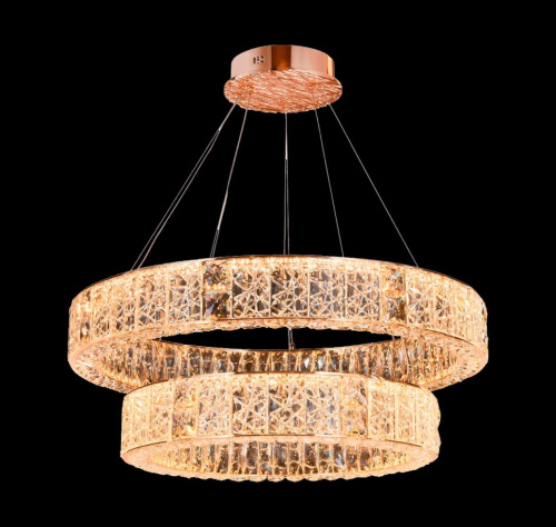 Люстра подвесная Ravissement Gold FL1057-14P фото 6