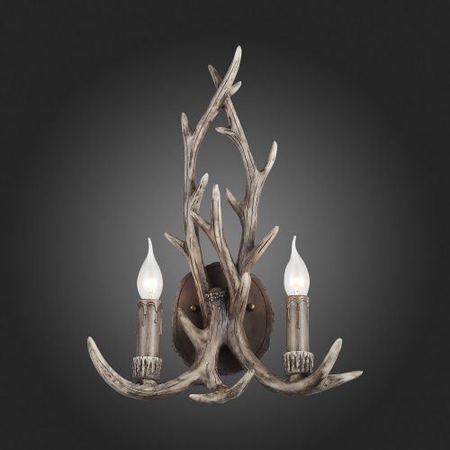 SL154.701.02 Бра ST-Luce Серый E14 2*40W CORNA фото 3