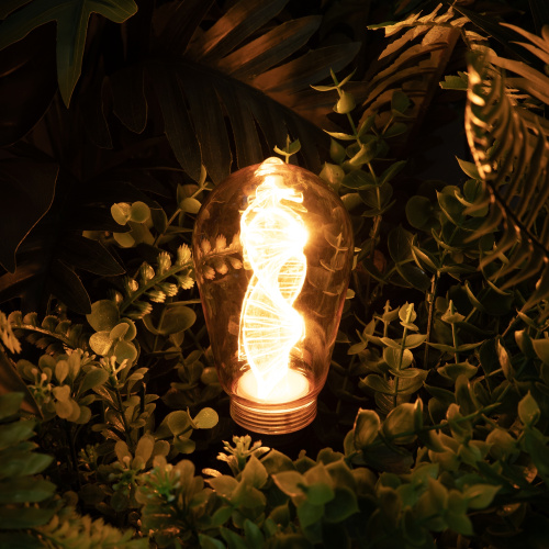 Лампочка Voltega 8593 фото 8 Лампочка Voltega 8593 фото 8