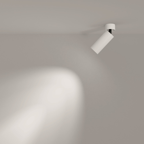 Потолочный светильник Technical C055CL-L12W4K-W-D-W фото 8 Потолочный светильник Technical C055CL-L12W4K-W-D-W фото 8