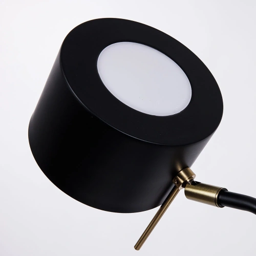 Декоративная настольная лампа Arte Lamp SEBASTIAN A7051LT-1BK фото 3