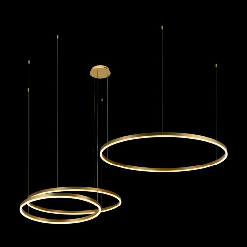 10017/3L Подвесной светильник LOFT IT Ring фото 4