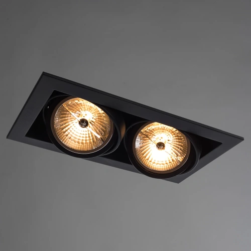 Карданный светильник Arte Lamp CARDANI GRANDE A5935PL-2BK фото 2