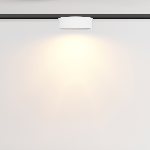 Трековый светильник Technical TR189-1-12W2.7K-BW фото 5
