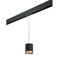 Комплект с трековым светильником Lightstar Rullo (213487+595887+203490) PRORP348790