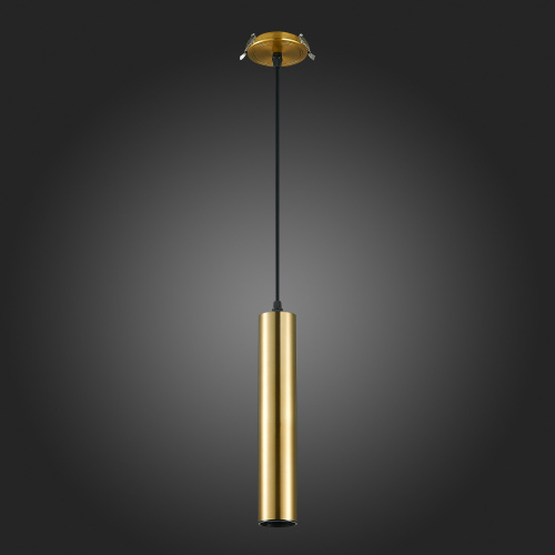 ST151.308.01 Встраиваемый подвесной светильник Золотистый GU10 1*50W  IP20 D54xH290 220V Без ламп Подвесные светильники фото 8