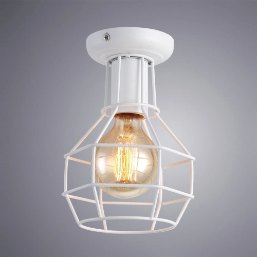 Потолочный светильник Arte Lamp INTERNO A9182PL-1WH фото 2