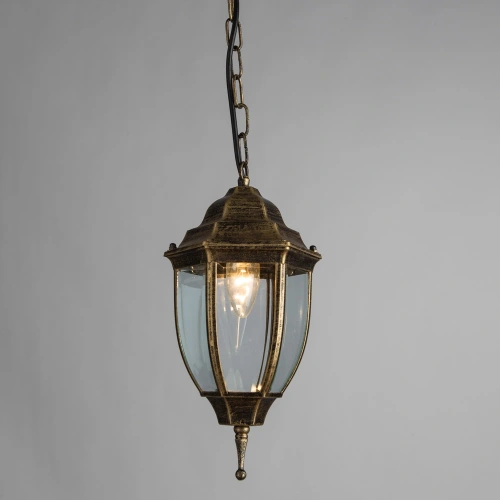 Уличный подвесной светильник Arte Lamp PEGASUS A3151SO-1BN фото 2 Уличный подвесной светильник Arte Lamp PEGASUS A3151SO-1BN фото 2
