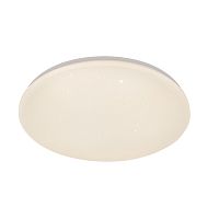 Потолочный светильник Escada 10216/SG LED*40W White APP