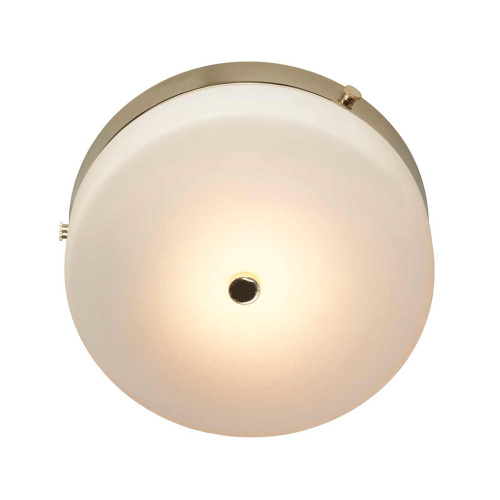 Потолочный светильник для ванных комнат Elstead Lighting TAMAR-F-M-PG фото 6