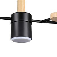 8194/5C COMFI LN26 335 черный, металл/дерево/пластик Потолочный светильник LED GX53 5*9W 220V CRYPTO
