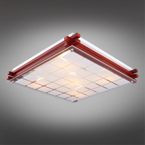 Светильник настенно-потолочный OML-40527-05 фото 2