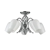 Потолочная люстра Arte Lamp DINA A1608PL-5CC