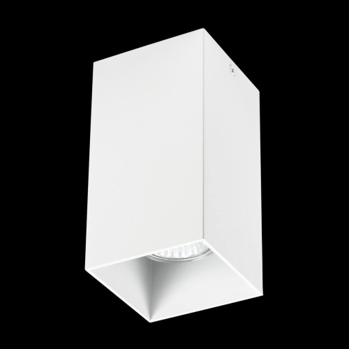 Потолочный светильник Lightstar Rullo 216586 фото 2