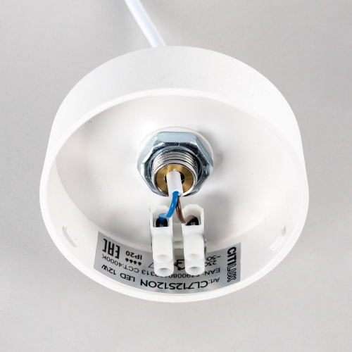 Citilux Тао CL712S120N LED Подвесной светильник с диммером фото 13 Citilux Тао CL712S120N LED Подвесной светильник с диммером фото 13