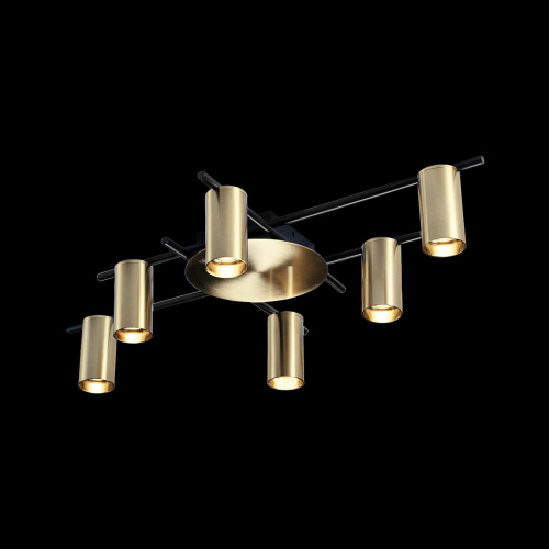 8120C-6 Потолочный светильник LOFT IT Tribes фото 2