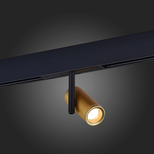 ST808.236.08 Магнитный трековый светильник Золотистый LED 1*8W 3000K 550Lm Ra>90 36° IP20 D42xH135 4 SKYLINE 48 фото 5
