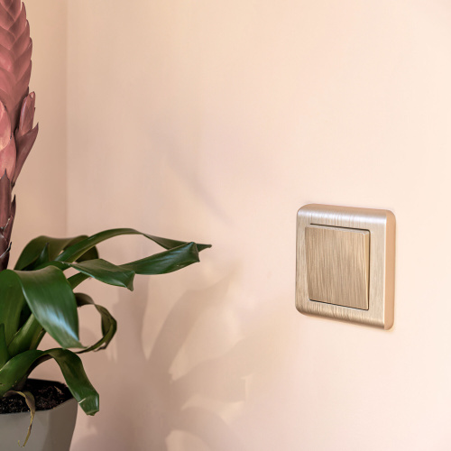 Выключатель одноклавишный (шампань рифленый) W1110010 фото 2