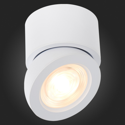 ST654.532.10 Светильник потолочный Белый LED 1*10W 3000K 850Lm Ra>90 38° IP20 D95xH96 180-240V Накладные светильники фото 5