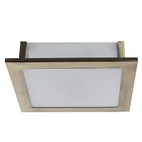 Потолочный светильник Arte Lamp FLUSHES A6064PL-2AB