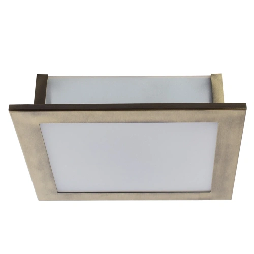 Потолочный светильник Arte Lamp FLUSHES A6064PL-2AB Потолочный светильник Arte Lamp FLUSHES A6064PL-2AB