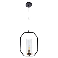 Подвесной светильник Arte Lamp CELAENO A7004SP-1BK