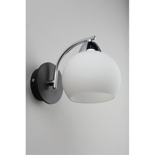 Светильник настенный (Бра) OML-25401-01 фото 4