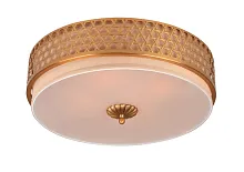 Потолочная люстра Divinare BISCOTTO 4005/01 PL-3