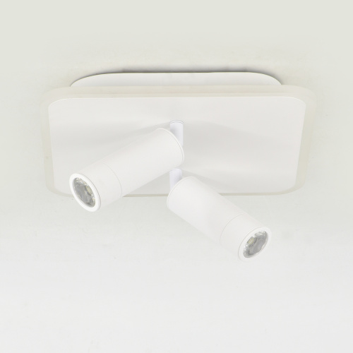 Настенно-потолочный свет Escada 20024SMA/01 LED 31W 4000K белый фото 4