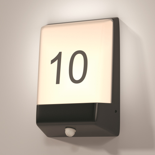 Уличный настенный светильник Outdoor O448WL-L9GF3KSR фото 2