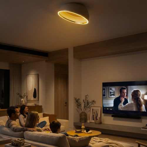 Citilux FLOOM CL736152 Светильник потолочный с пультом Бежевый+Золото фото 12 Citilux FLOOM CL736152 Светильник потолочный с пультом Бежевый+Золото фото 12
