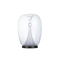 Декоративная настольная лампа Divinare CAMPO 5875/09 TL-15