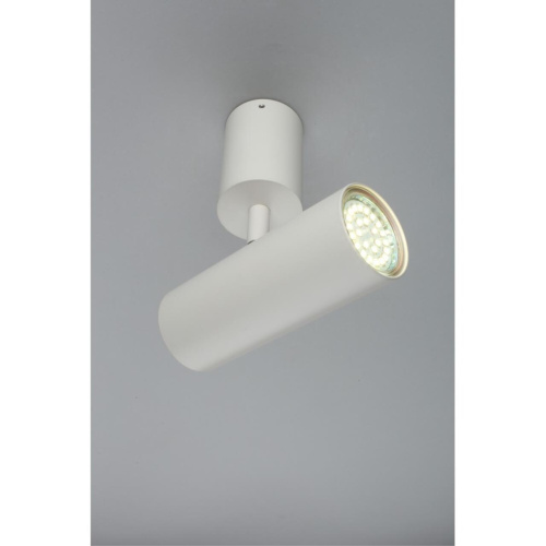 Светильник настенно-потолочный APL.007.02.01 фото 7