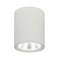 Потолочный светильник Escada 20003SMU/02 LED 12W 4200K белый матовый