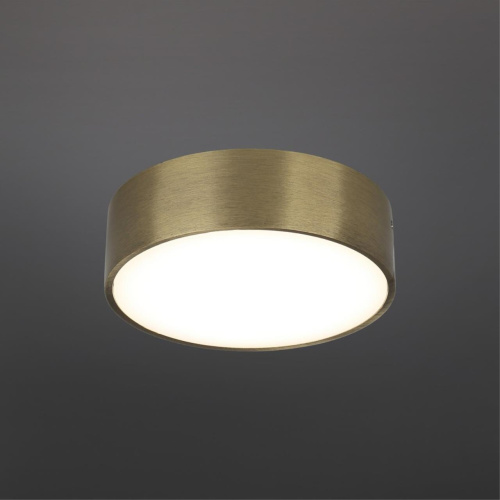 Светильник настенно-потолочный APL.0114.29.12 фото 3