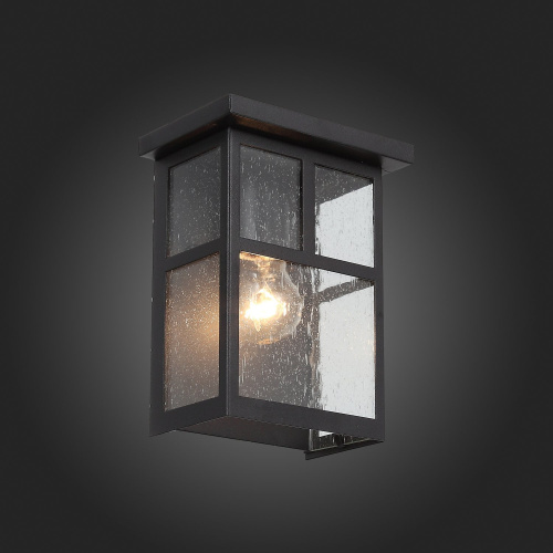 SL079.401.01 Светильник уличный настенный ST-Luce Темный кофе/Прозрачное кракелированное стекло E27 GLAZGO фото 3